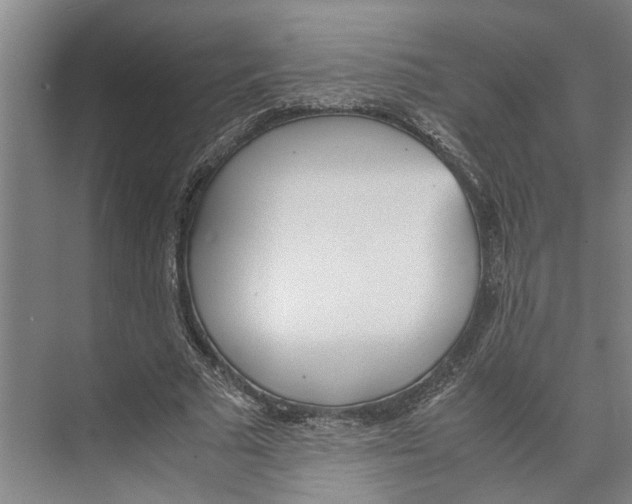 X0000071930681200608041501
