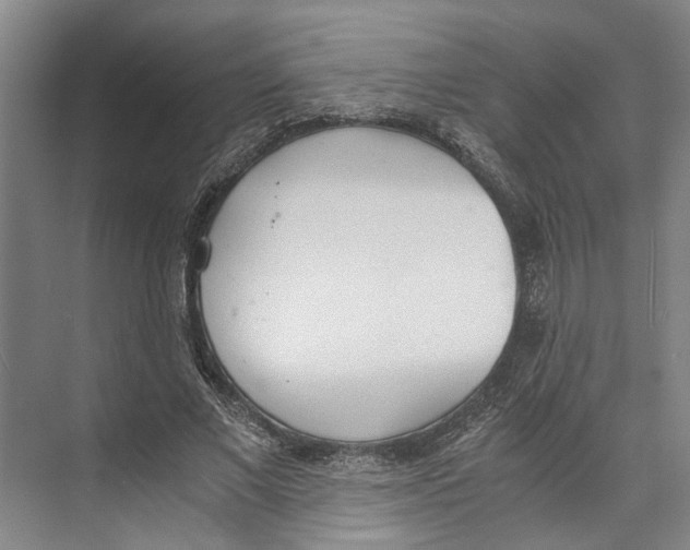 X0000071930685200608041501
