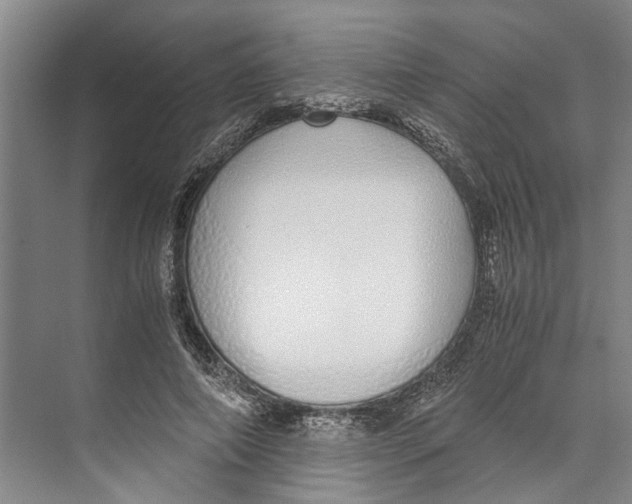 X0000071930690200608041501