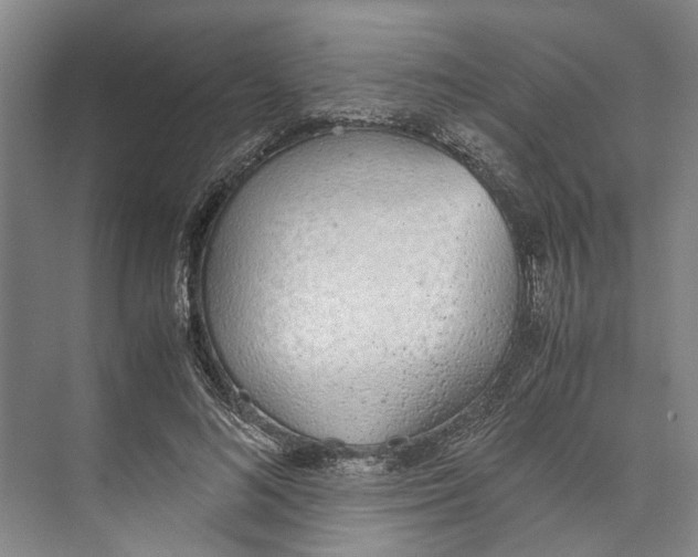 X0000071930692200608041501