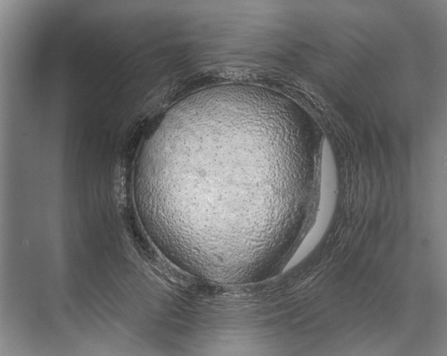 X0000071930696200608041501
