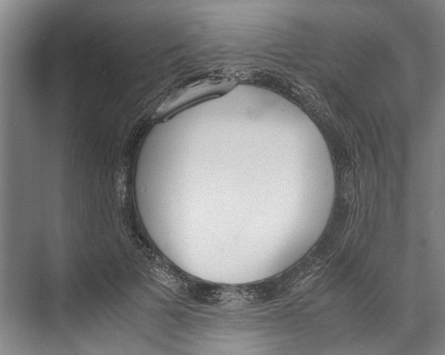 X0000071930697200608041501