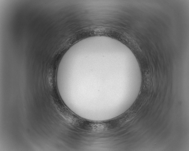 X0000071930698200608041501
