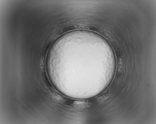 X0000071930699200608041501