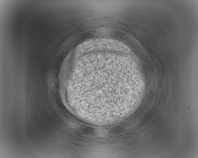 X0000071930701200608041501