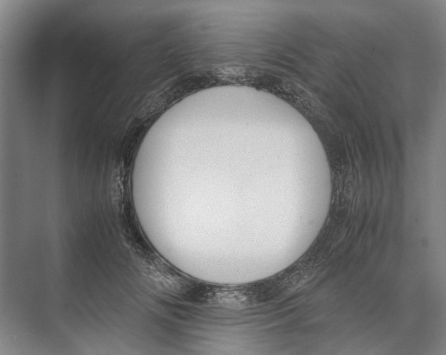 X0000071930702200608041501