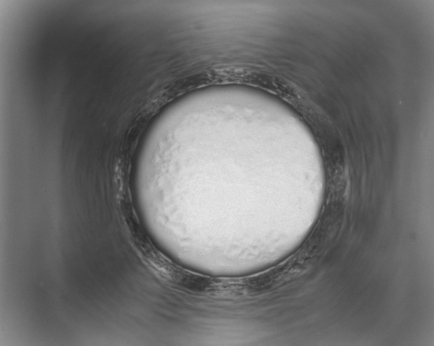 X0000071930703200608041501