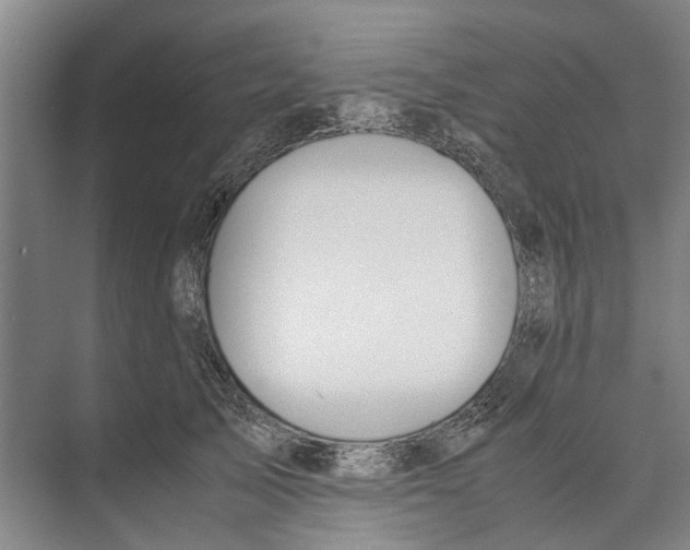 X0000071930705200608041501