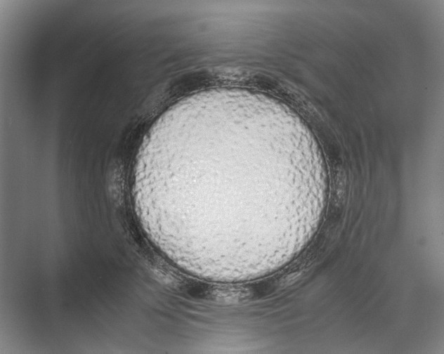 X0000071930707200608041501