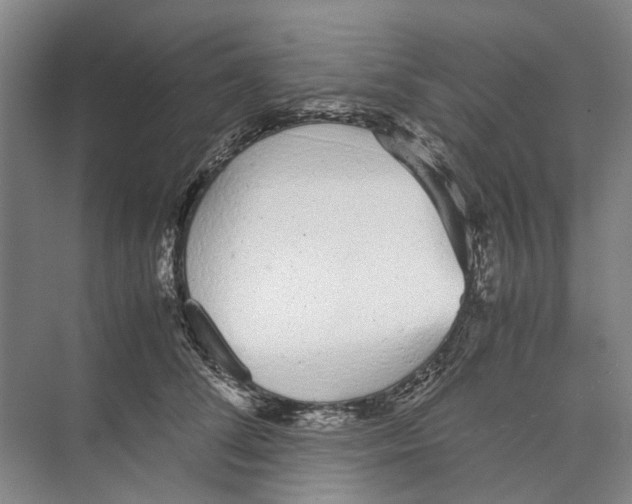 X0000071930708200608041501