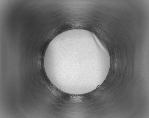 X0000071930710200608041501