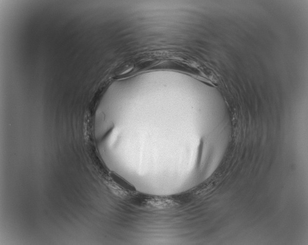 X0000071930712200608041501