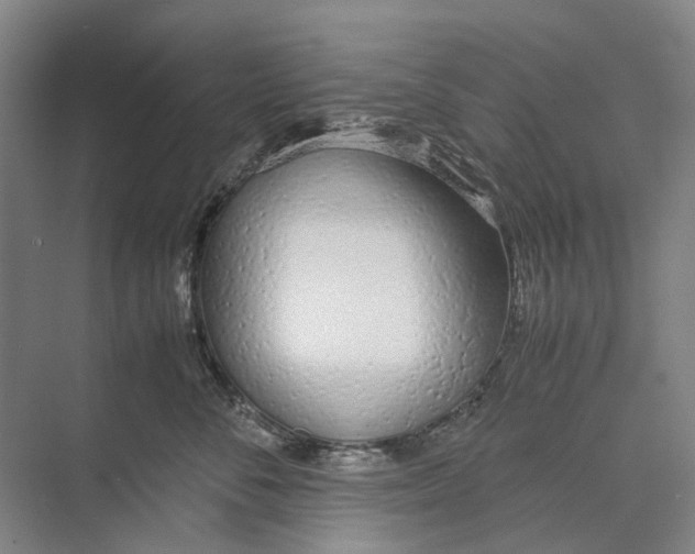X0000071930716200608041501