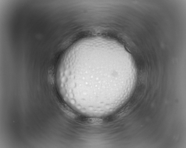 X0000071930719200608041501