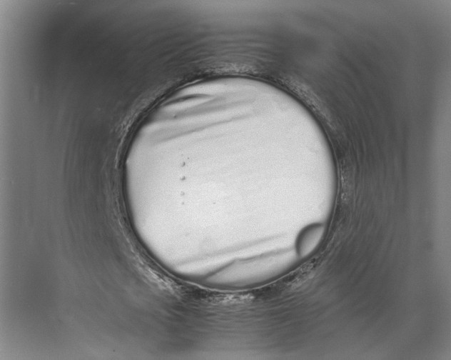 X0000071930721200608041500