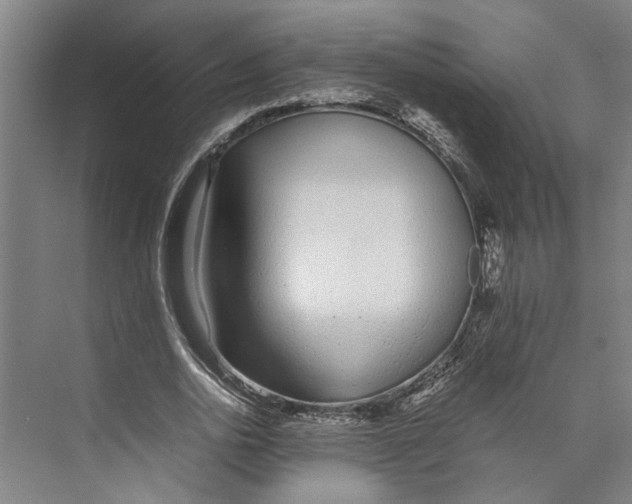 X0000071930726200608041500
