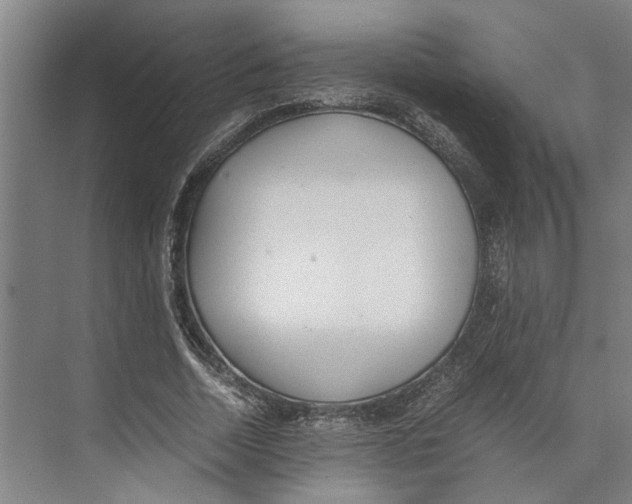 X0000071930730200608041500