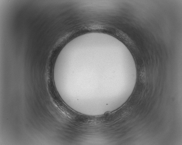 X0000071930732200608041500