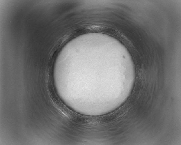 X0000071930733200608041500