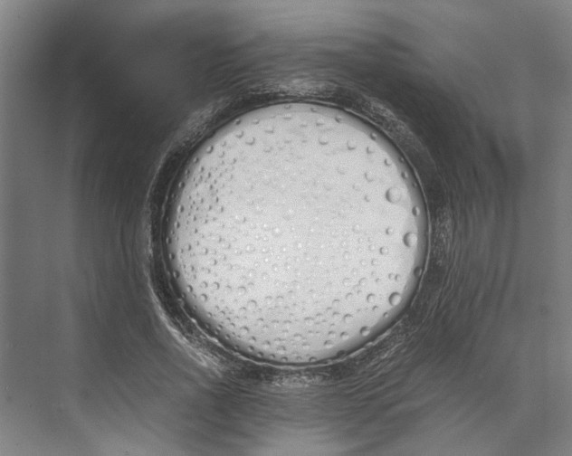 X0000071930734200608041500