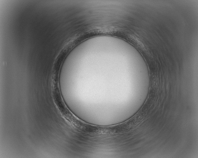 X0000071930736200608041500