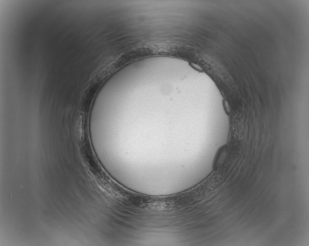 X0000071930740200608041500