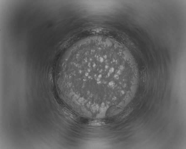 X0000071930754200608041500