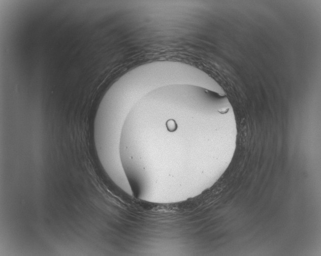 X0000071930756200608041500