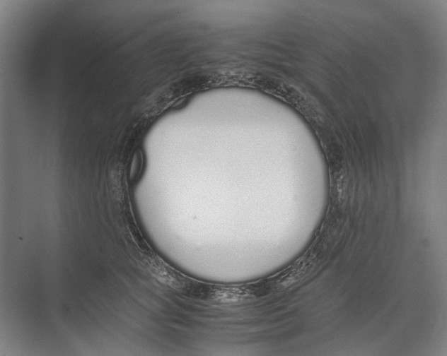 X0000071930757200608041500