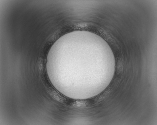 X0000071930758200608041500