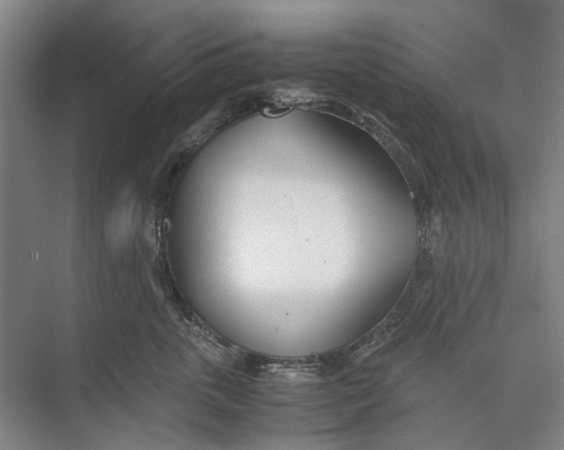 X0000071930763200608041501