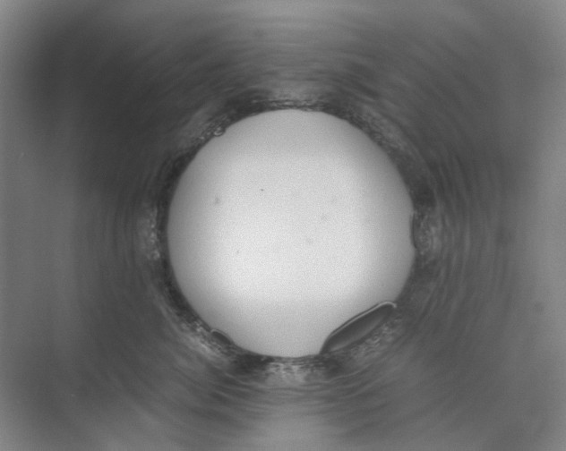 X0000071930764200608041501