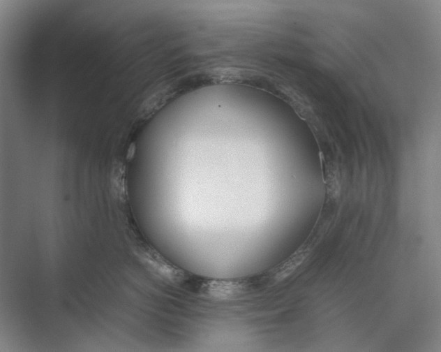 X0000071930766200608041501