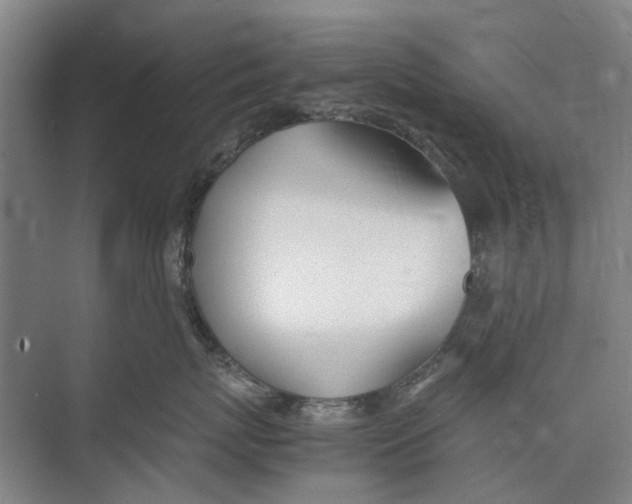 X0000071930767200608041501