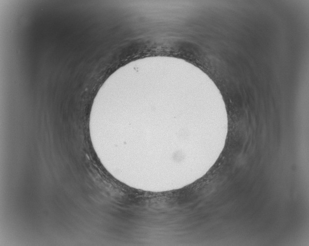 X0000071930769200608041500