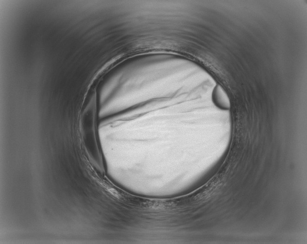 X0000071930790200608041459