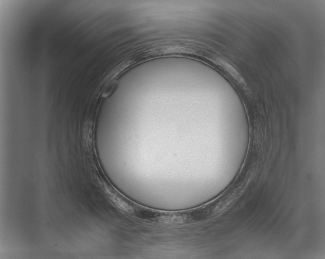 X0000071930793200608041459