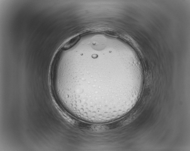 X0000071930795200608041459