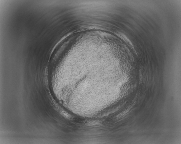 X0000071930798200608041459