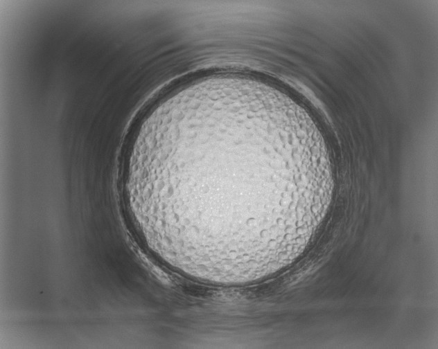 X0000071930799200608041459
