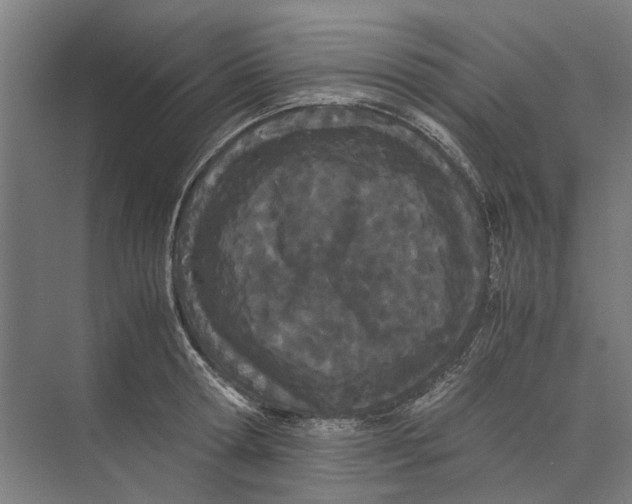 X0000071930802200608041459