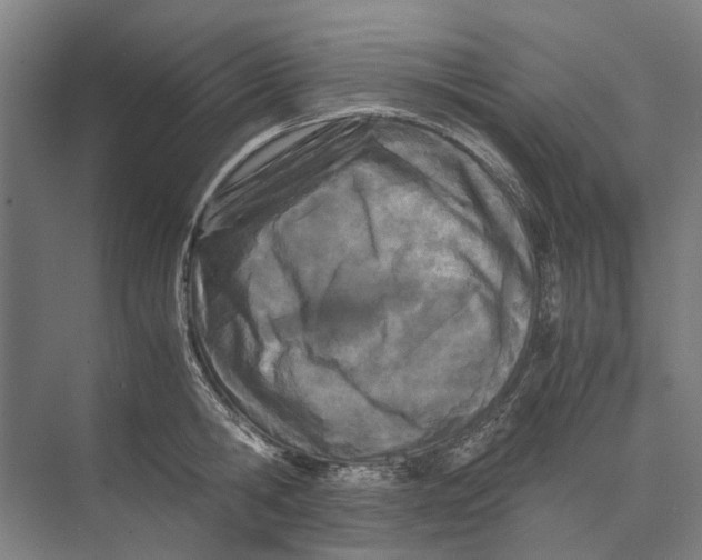 X0000071930806200608041459
