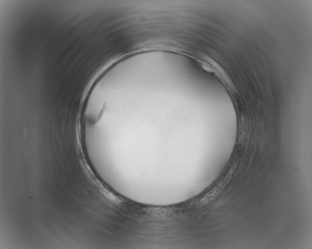 X0000071930812200608041459