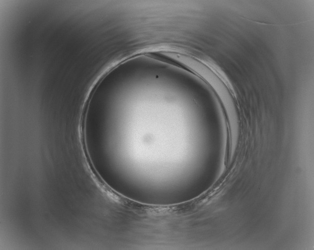 X0000071930813200608041459