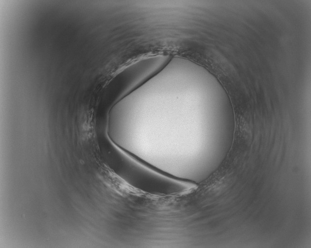 X0000071930818200608041458