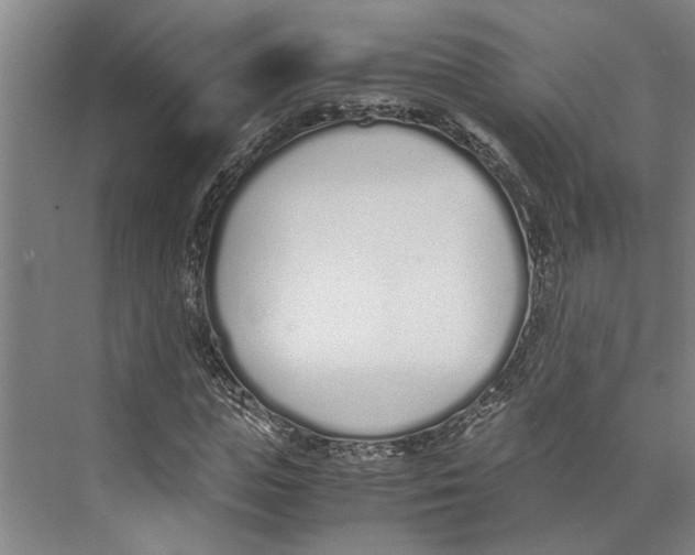 X0000071930823200608041458
