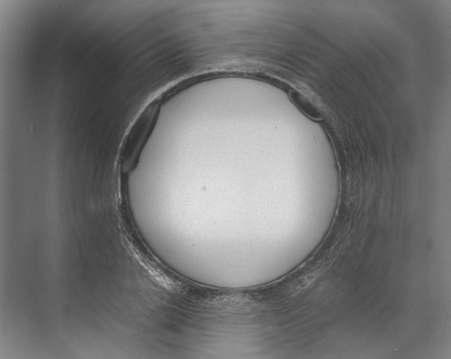 X0000071930838200608041459