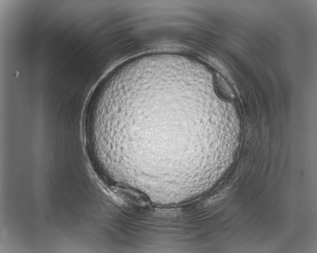 X0000071930843200608041459