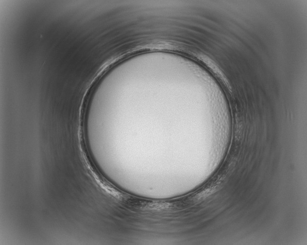 X0000071930845200608041459
