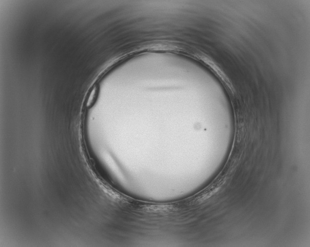 X0000071930853200608041459
